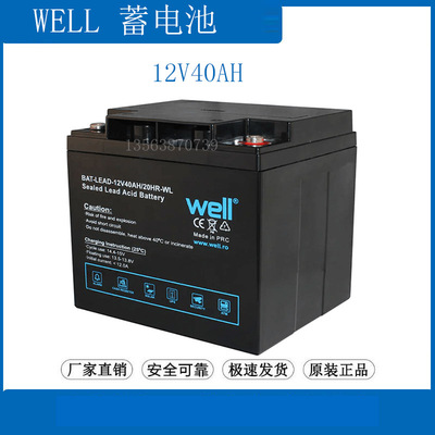 WELL蓄电池12V40AH UPS 船舶 监控 BAT-LEAD-12V40AH/20HR-T2-WL