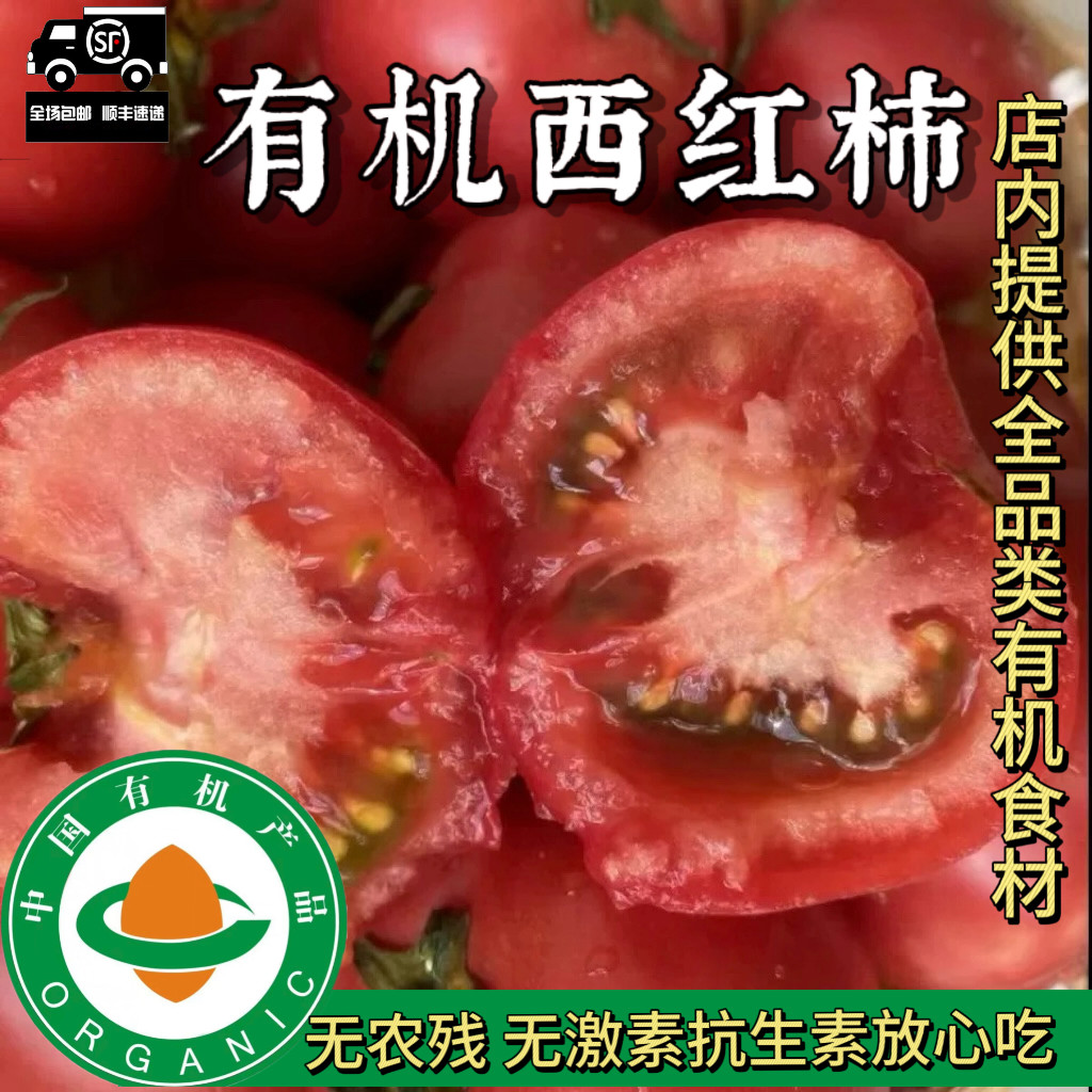 有机西红柿番茄5斤生吃真有机不打药无农残非转基因酸甜可口