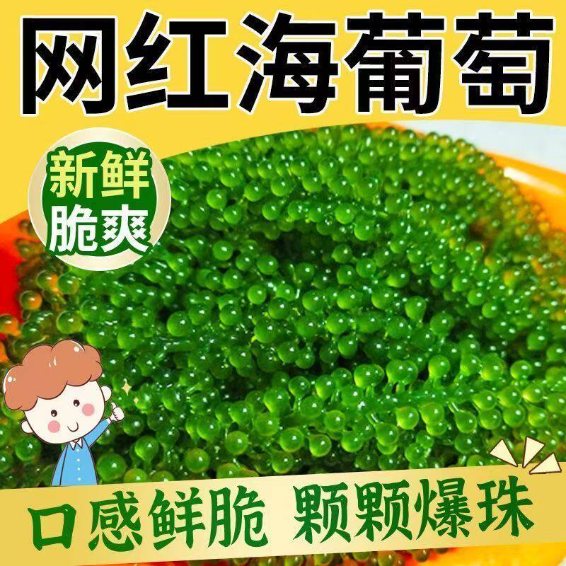 特惠海葡萄无沙脆嫩鲜甜网红海鲜食材低卡高纤健身党健康食材海带