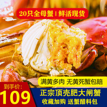 包邮 大闸蟹非全母蟹鲜活螃蟹现货20只六月黄全肥满黄新鲜水产顺丰