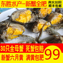 包邮 洪泽湖30只大闸蟹河蟹满黄蟹现货鲜活原产地直销全母蟹螃蟹
