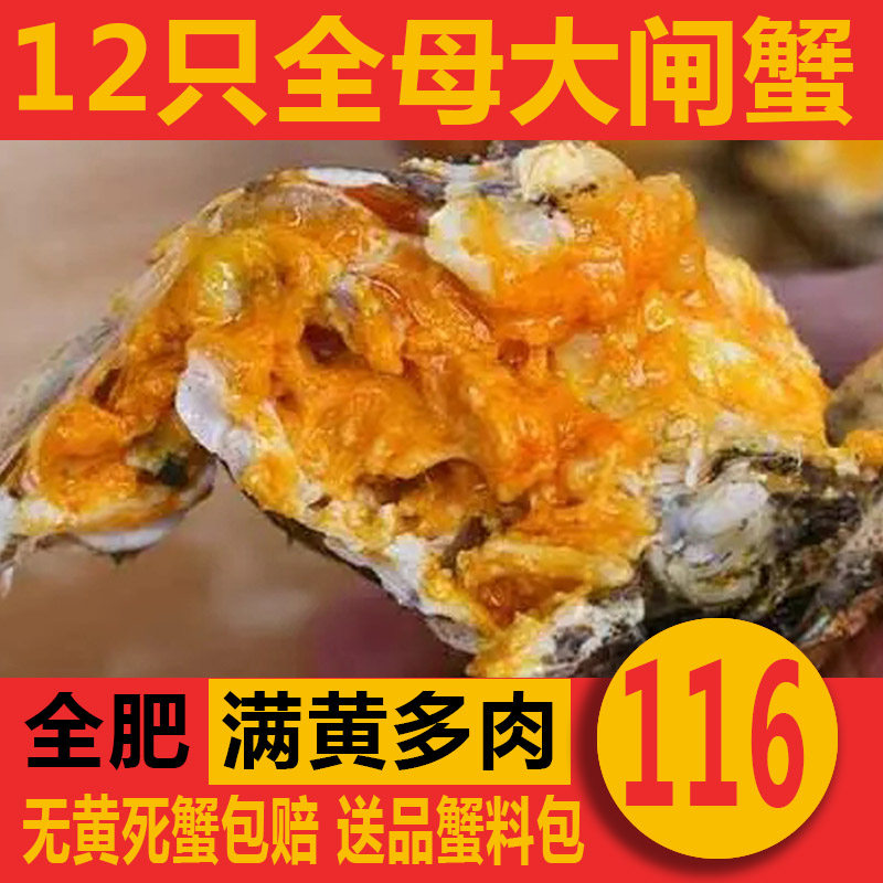 活蟹蟹旅洪泽湖大闸蟹1.2两全母蟹鲜活螃蟹现货水产12只装包邮