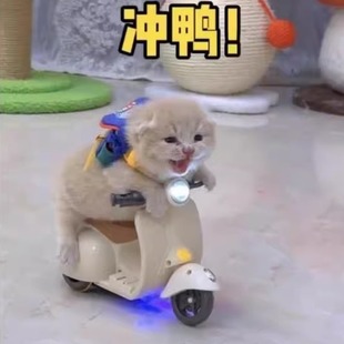 网红特技摩托车旋转电动玩具男孩猫咪电动车摇摆女孩炫技摩托车