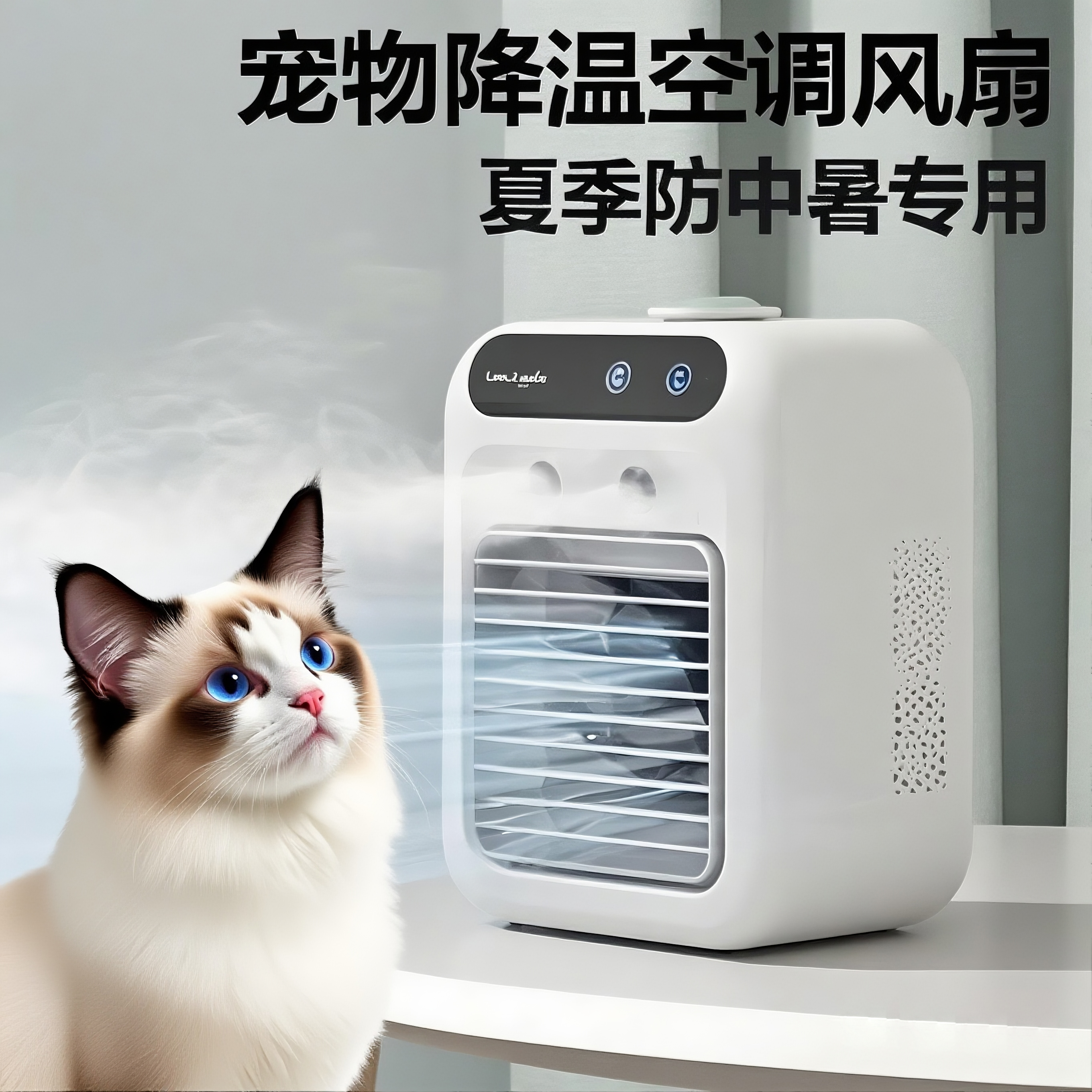 猫咪夏天宠物空调睡觉用