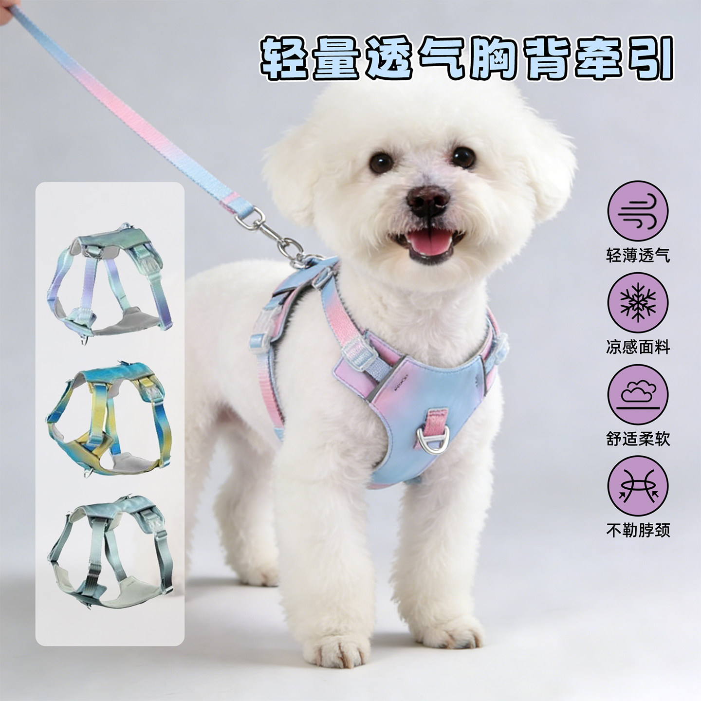 狗狗胸背狗牵引绳中小型犬泰迪比熊防爆冲遛狗牵引绳背心式狗背带
