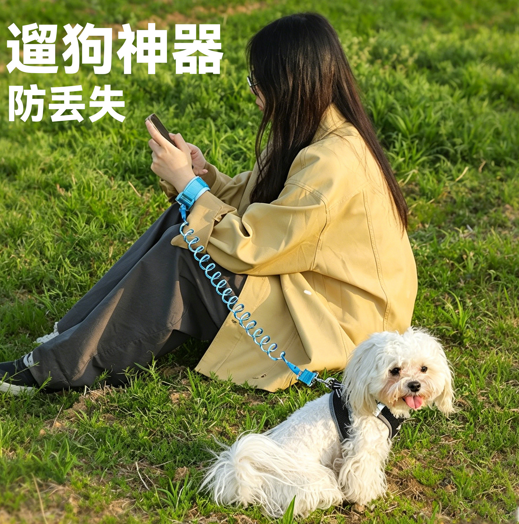 狗狗牵引绳小型犬比熊泰迪外出反光遛狗绳防咬狗链子猫绳宠物用品