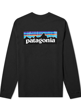 Patagonia巴塔哥尼亚L/S P-6 Logo男式休闲潮流卫衣39161/38518