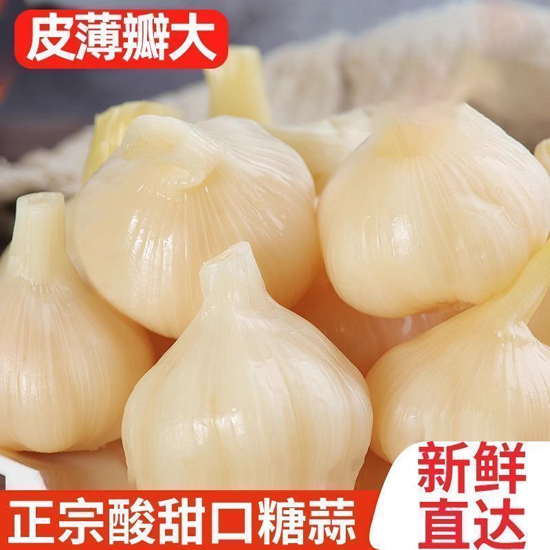 安徽特产大蒜嫩蒜头正宗糖醋蒜瓣非去皮蒜头腌制腊八蒜甜蒜泡菜蒜