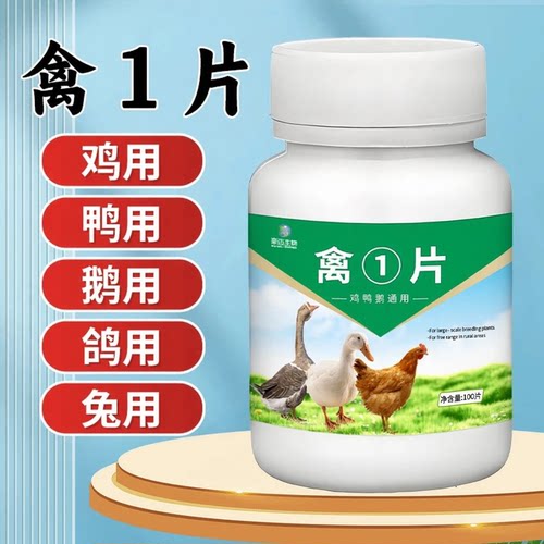 豪迈禽1片养鸡温甩鼻鸡用养鸡专用绿粪白粪咕咕怪叫缩头毕眼流泪