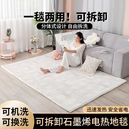 可拆洗机洗水洗石墨烯电热地毯家用客厅移动地暖垫加热暖脚取暖垫