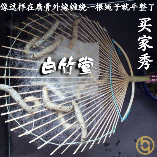 可用作蚕宝宝吐丝用扇子团扇 泡水后撕掉扇面 吐好丝就变成蚕丝扇 居家日用 扇子 原图主图