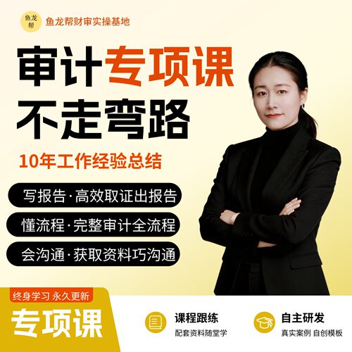 审计鱼帮主-专项审计（经责/尽职调查/清产核资/所得税汇算清缴）