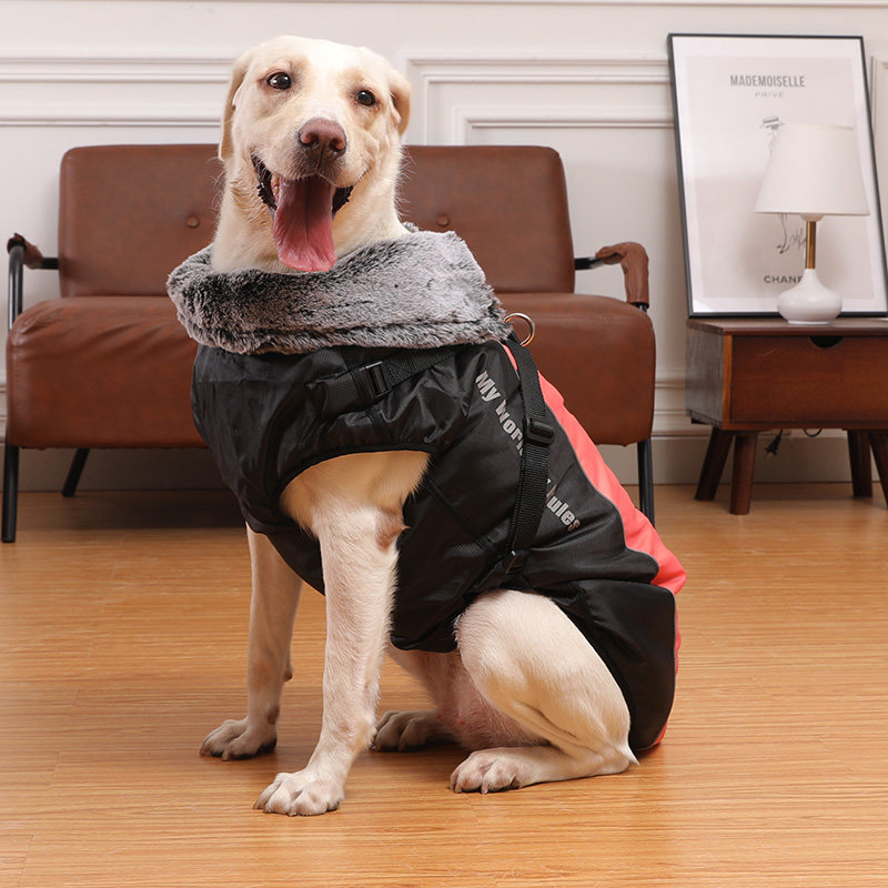 拉布拉多狗狗衣服秋冬装加厚防风保暖大型犬金毛哈士奇狗棉衣冬季,宠物/宠物食品及用品,狗宠物服装/雨衣,淘宝优惠券,粉丝福利购,淘宝优惠卷