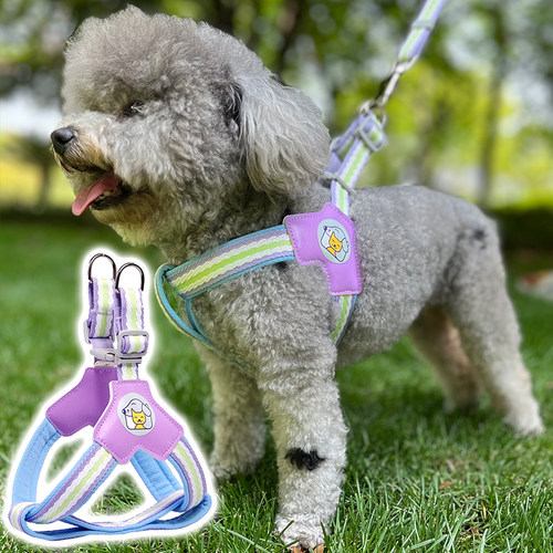 狗狗牵引绳中小型犬背心式比熊泰迪柴犬宠物胸背带防挣脱遛狗绳子