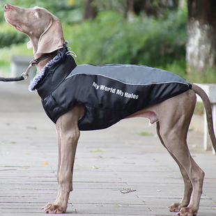 狗狗衣服冬装魏玛犬加厚羽绒棉衣格力金毛大型犬宠物冬季保暖衣服