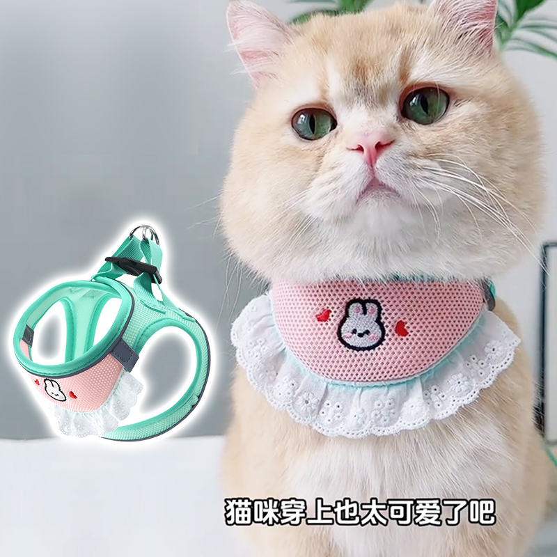 网红猫咪牵引绳防挣脱外出专用遛猫神器宠物背带链子可调节溜猫绳