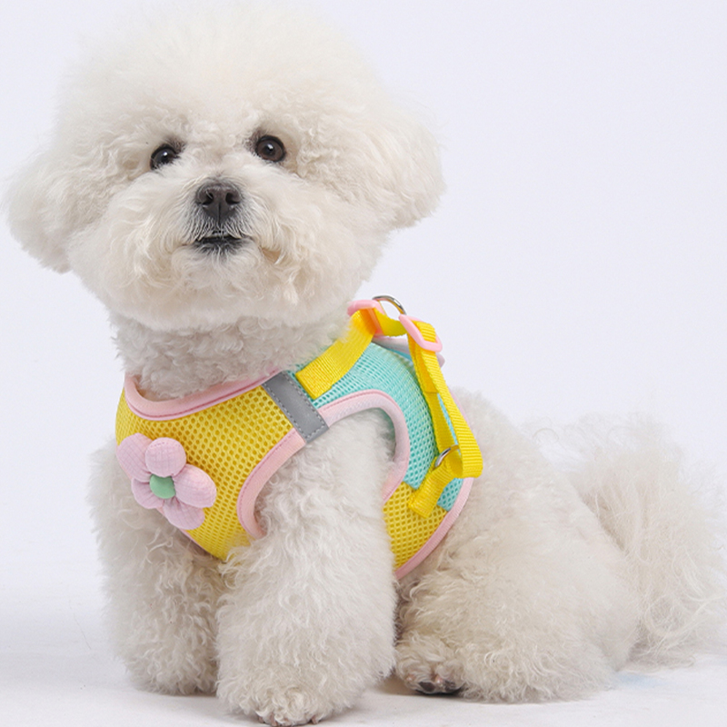 蓬牧狗狗牵引绳小型犬