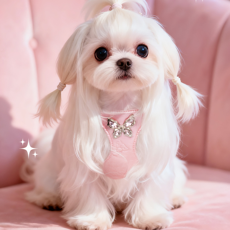 小狗狗牵引绳比熊泰迪雪纳瑞小型犬宠物胸背带防挣脱遛狗绳背心式