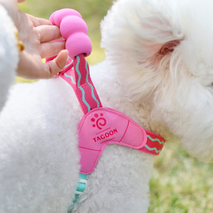 狗狗牵引绳比熊雪纳瑞博美小型犬背心式宠物胸背带防挣脱遛狗绳子