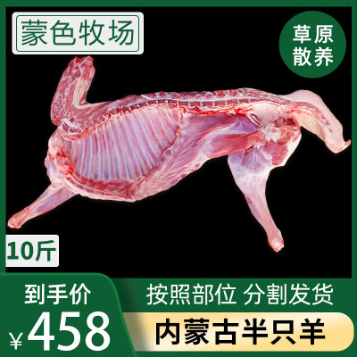 烧烤食材半只羊苏尼特10斤手把肉