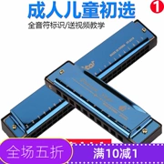 Harmonica Trẻ em mới bắt đầu 24 Hole C Điều chỉnh Học sinh Harmonica Blues 10 Lỗ Harmonica Nhạc cụ Sinh nhật Quà tặng - Nhạc cụ phương Tây