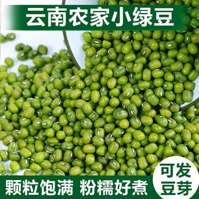 2斤新鲜精品农家小绿豆易出沙五谷杂粮发豆芽绿豆汤解暑绿豆煮粥