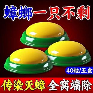 蟑螂药一窝端强效家用非无毒蟑螂克星灭虫神器方便全窝端 国货正品