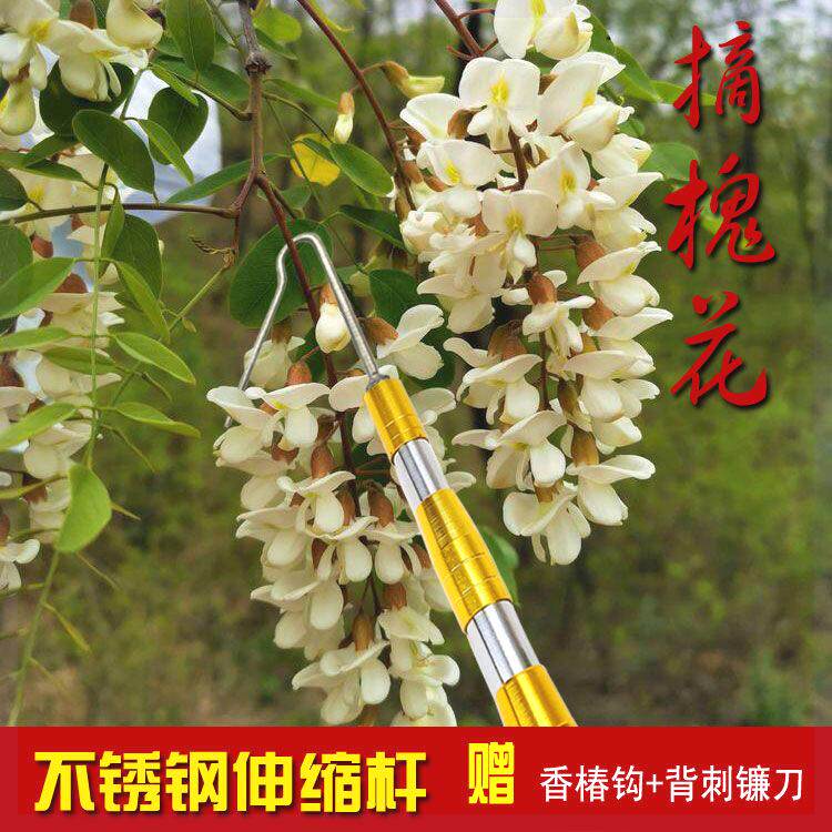 加长摘香春洋槐花槐花钩子不锈钢伸缩采摘杆多功能采摘香椿够槐花