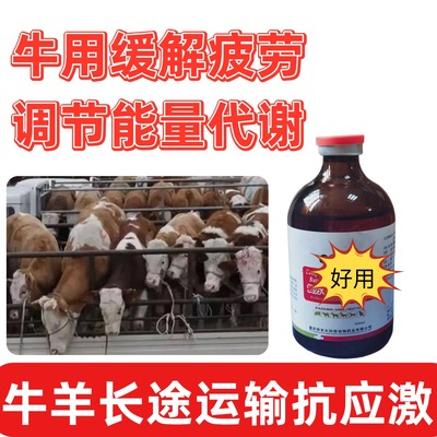 长途运输牛羊救命针布他林强效抗应激增免疫促进吃食不掉秤100ml