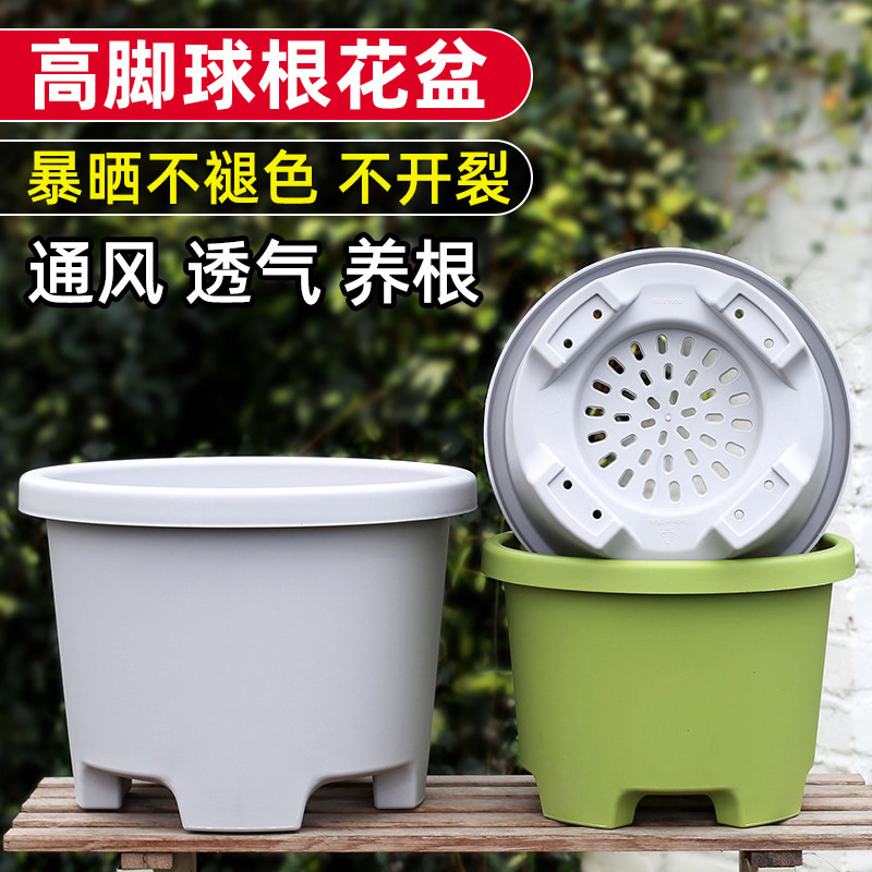 2026新款加厚高脚透气控根加仑盆塑料家用百合郁金香种球树脂花盆图片