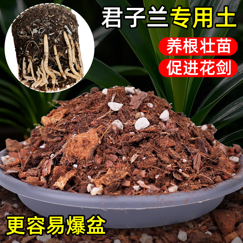 君子兰专用土土壤养花泥土肥料盆栽花卉有机种植营养土兰花科肥料