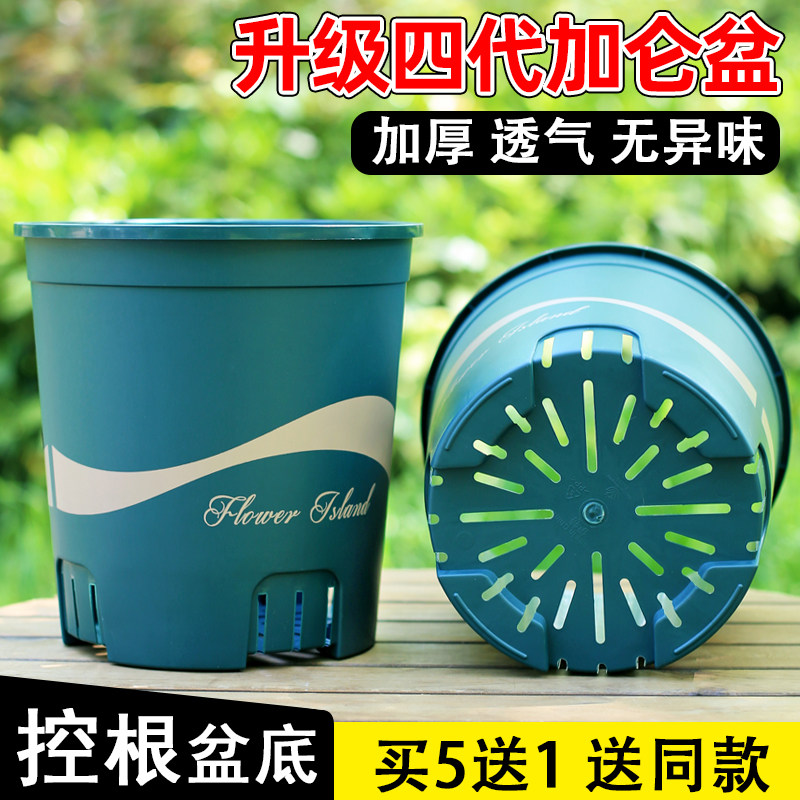 新升级四代透气加仑盆图片