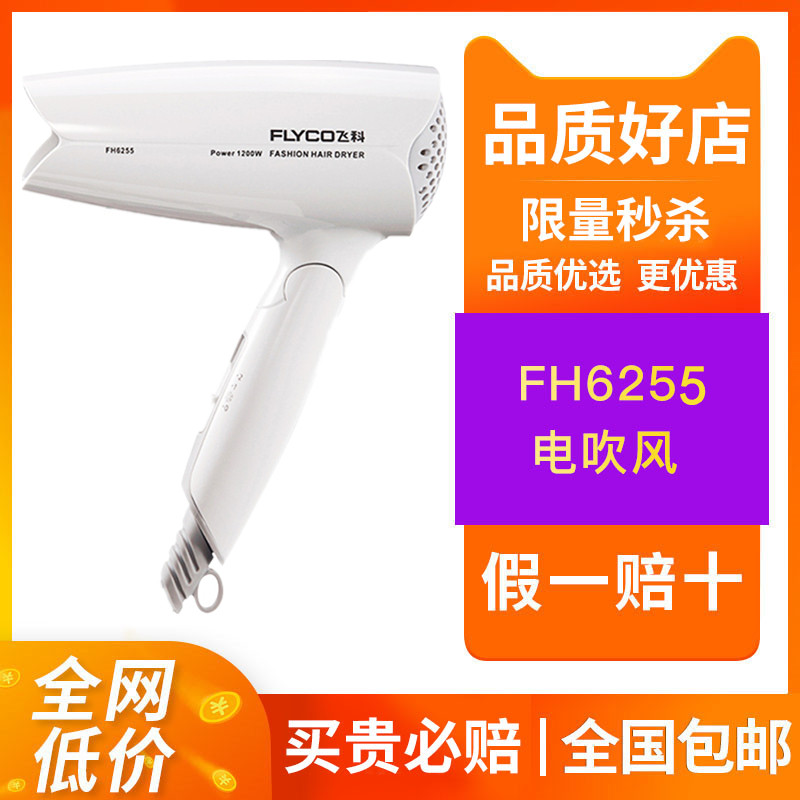 飞科电吹风机家用负离子护发吹风筒便携折叠宿舍学生不伤发FH6255