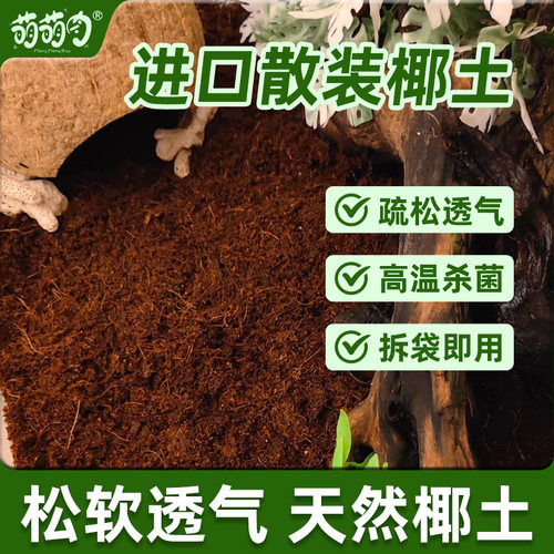 爬宠专用椰土乌龟冬眠专用土仓鼠爬宠蜘蛛用垫材乌龟冬眠饲养缸