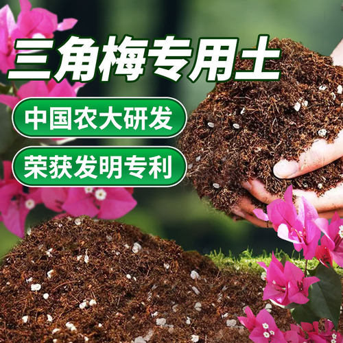 三角梅专用土三角梅盆栽专用土花土三角梅营养土养花专用肥