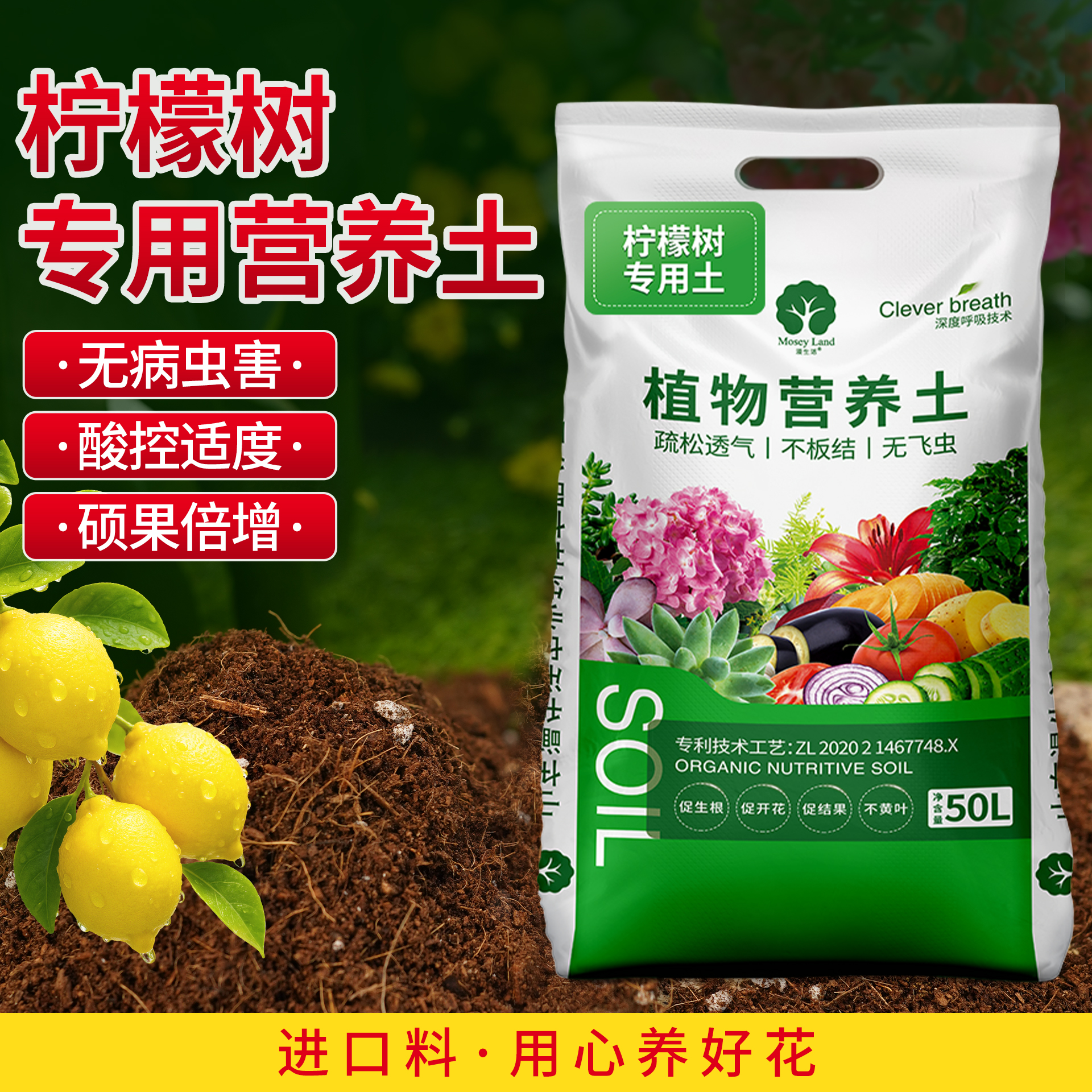 柠檬树专用土营养肥料中国农大