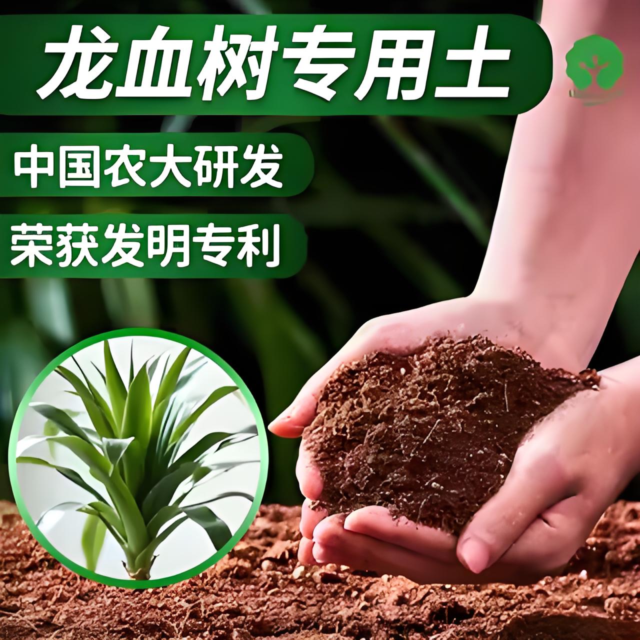 龙血树专用土专用营养土专用肥料中国农大研发漫生活专利营养土