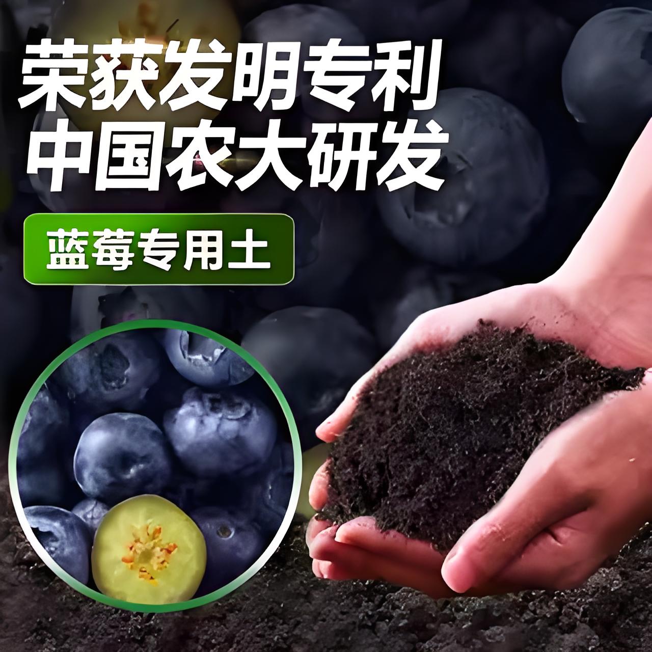 蓝莓专用土营养肥料漫生活
