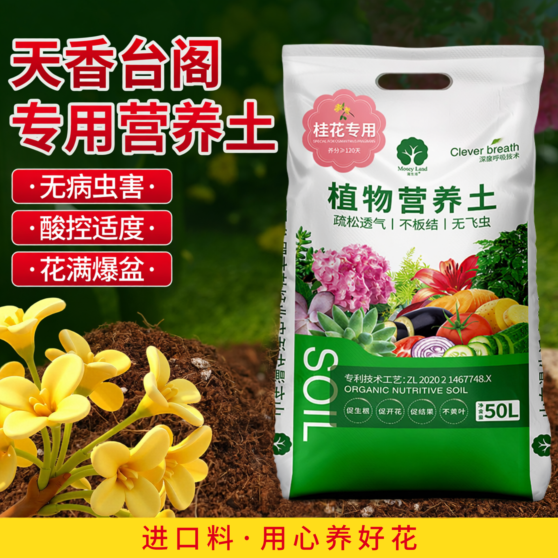 桂花专用土四季桂花盆栽专用土天香台阁酸性营养土金桂种植泥炭土