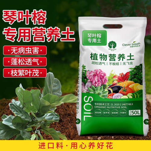 琴叶榕专用土漫生活专利营养土