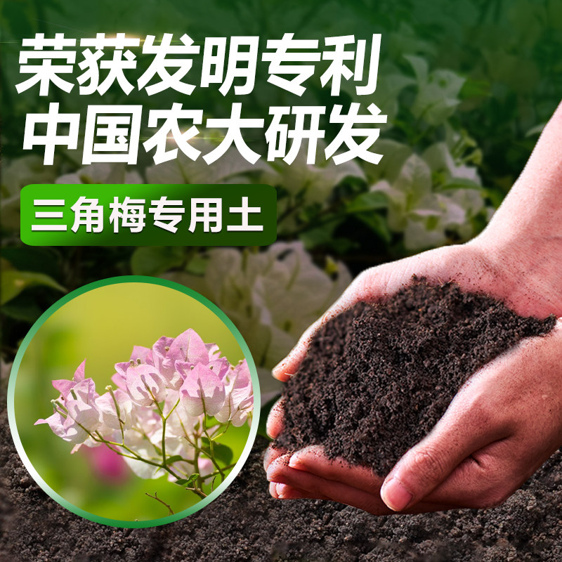 三角梅专用土养花专用肥图片