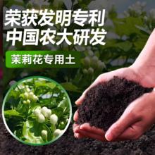 茉莉花专用土茉莉花土盆栽专用土营养土土壤肥料专用肥漫生活