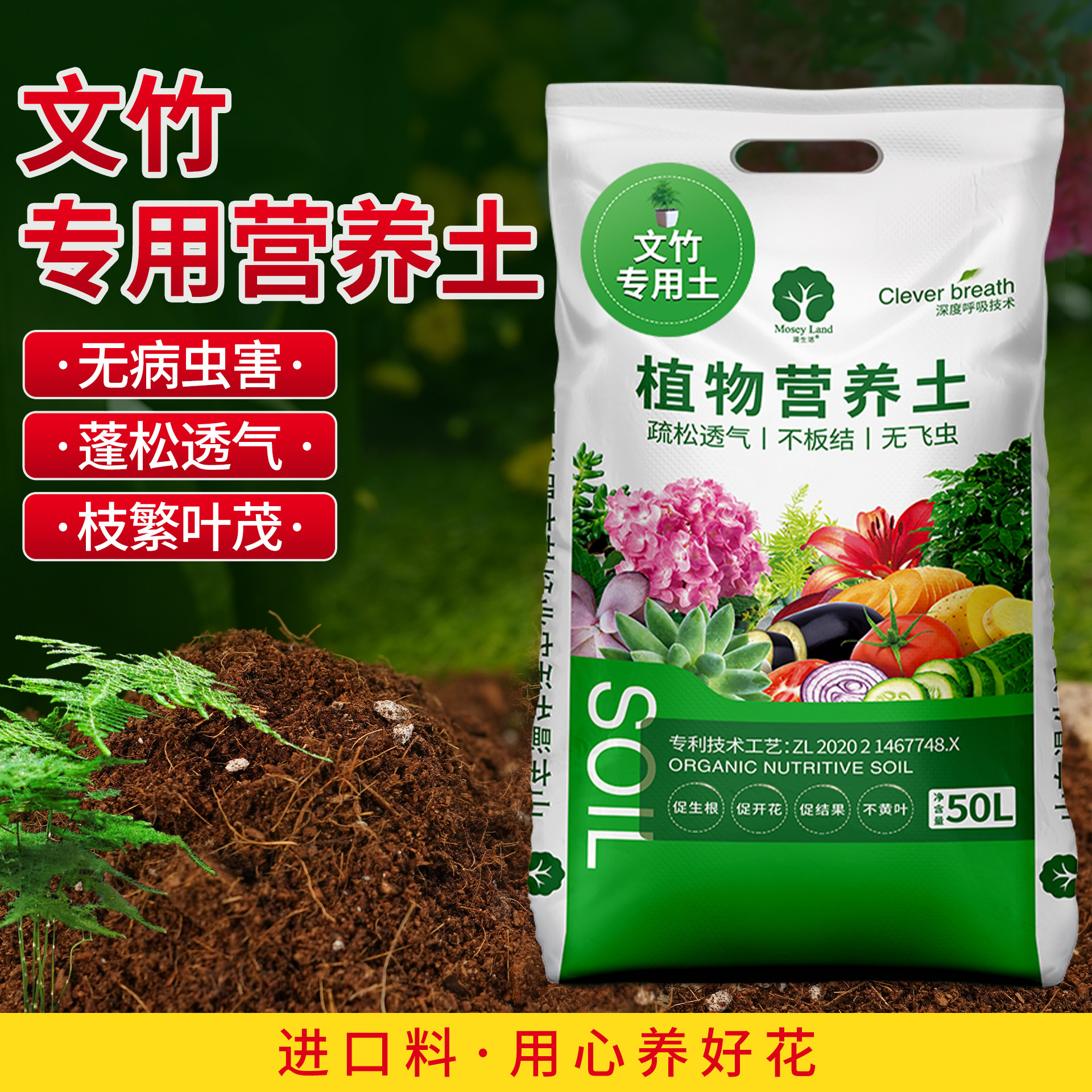 文竹专用土绿植盆栽营养土