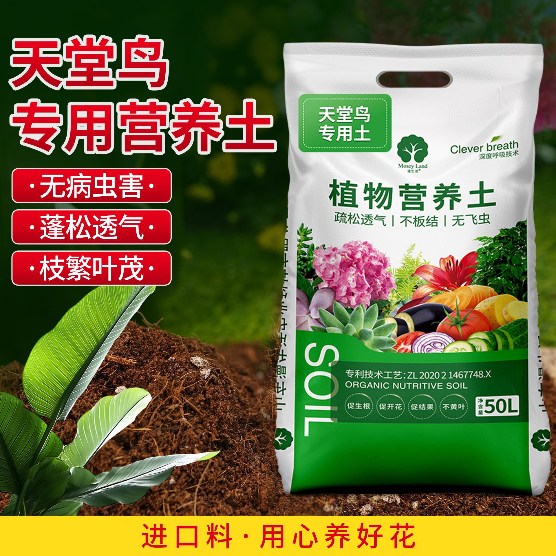 漫生活天堂鸟专用营养土透水透气