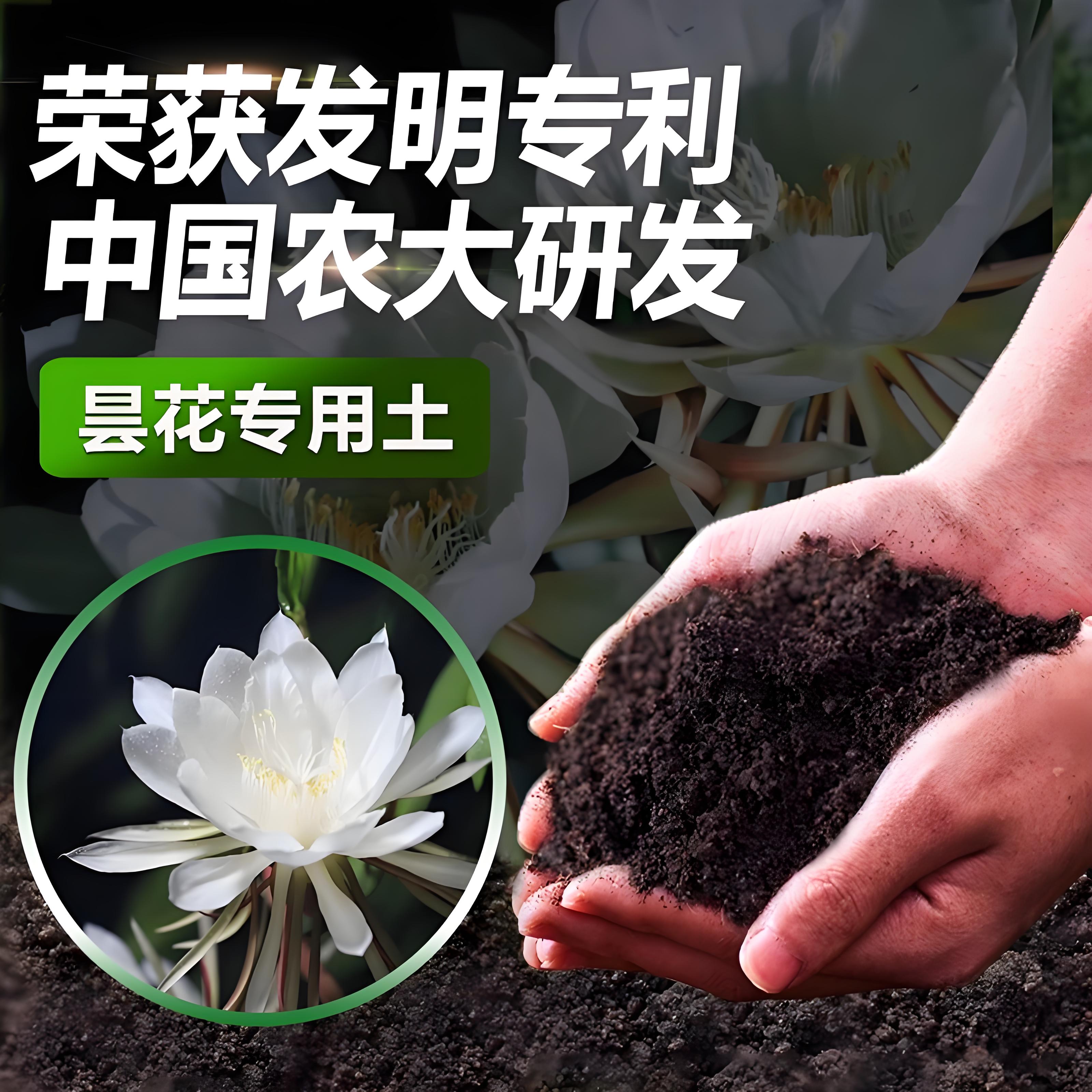 昙花专用土专用营养土花土专用肥料中国农大研发漫生活专利营养土