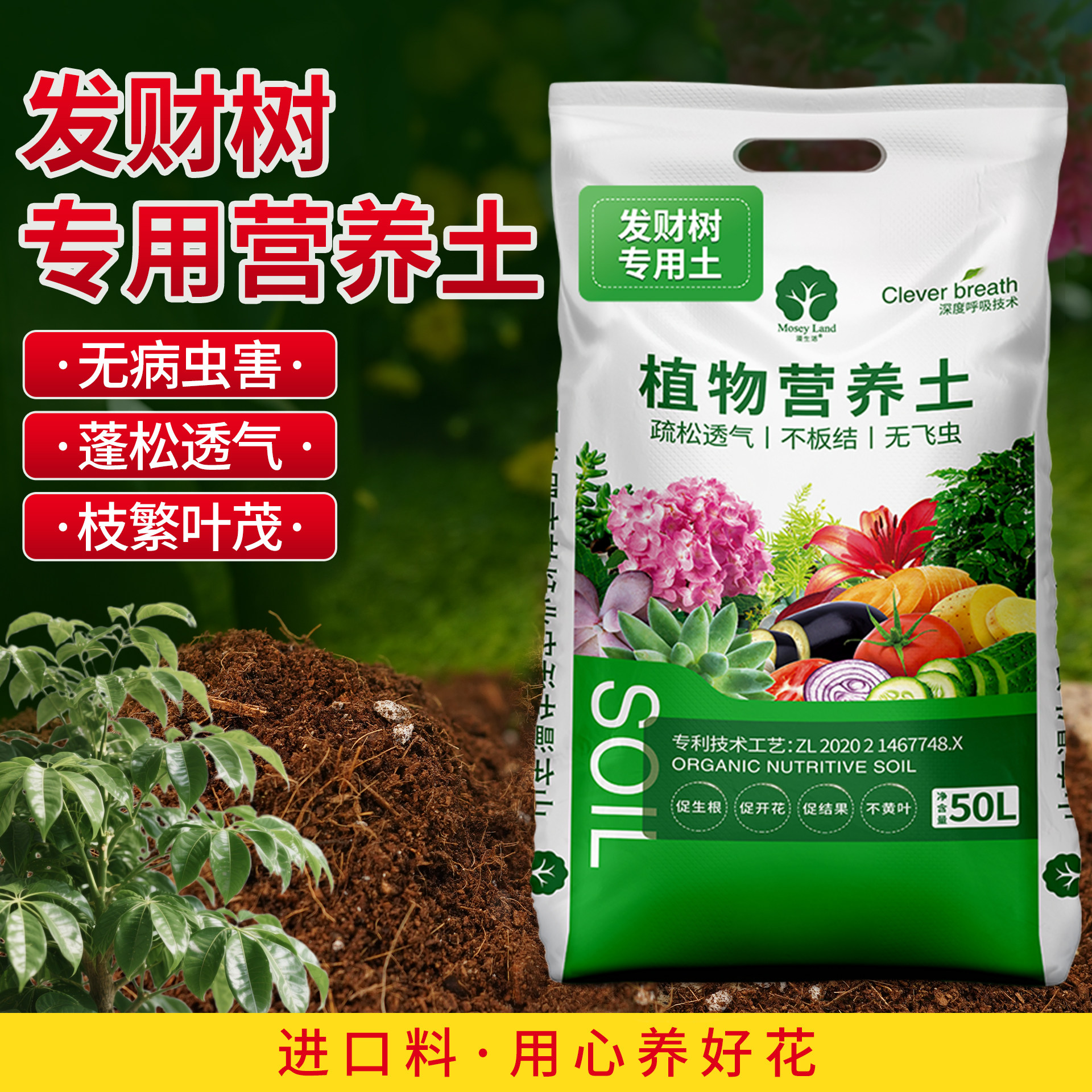 漫生活发财树专用营养土盆栽土壤