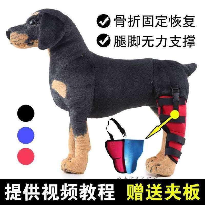狗狗骨折夹板腿部固定矫正宠物后腿大腿骨折关节错位绑带支架护套