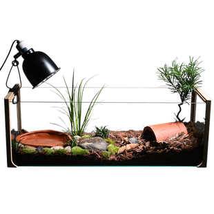 黄缘乌龟专用饲养缸乌龟生态造景别墅水陆缸安缘台缘半水龟养殖箱