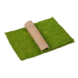 纱布鲜活苔藓黄缘乌龟水陆雨林饲养缸微景观铺面青苔短绒小灰苔藓