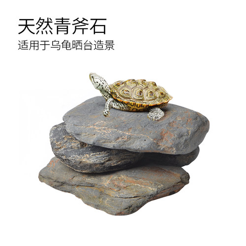 乌龟晒背台天然石石头造景躲避洞